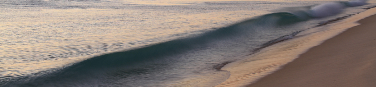 Panagiotis G. Pavlos